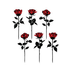 Red Rose Illustration set