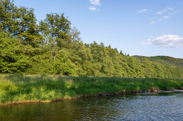 Fototapeta premium River landscape - River bank with green grass and trees