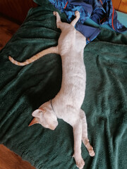 A break from speculation...