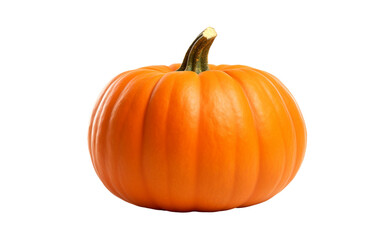 Autumn Staple: Pumpkin Isolated on Transparent Background PNG.