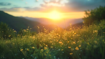 beautiful nature photography for quotes background