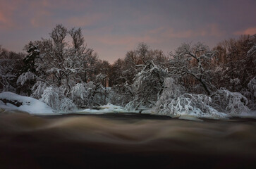 A fast river is flowing in a winter forest at dusk, the trees are covered with snow and frost, dark...