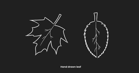hand-drawn maple tree leaves and regular leaves on a black background