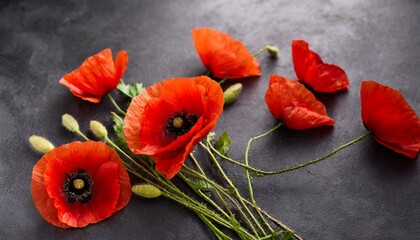 red poppy flowers, Red poppies on black background. Remembrance Day, Armistice Day symbol