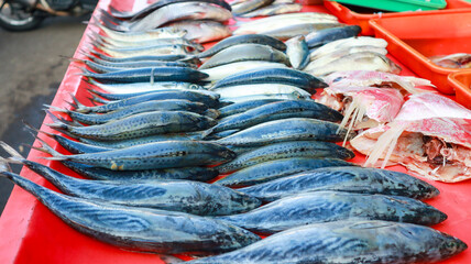Close-up view of various types of fresh sea animals caught by fishermen such as fish, shrimp and...