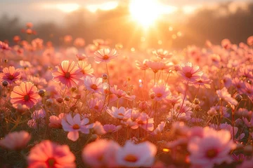 Fotobehang Stunning landscape of blooming flowers in summer meadow under bright sunlight showcasing beauty of nature with colorful petals and green grass perfect for calm fresh and romantic outdoor scenery © Thares2020