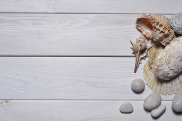 Seashells and pebble stones on the white wooden desk table background top view. Sea travel flat lay...