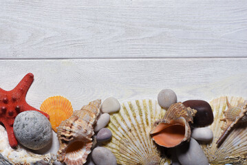 Seashells and pebble stones on the white wooden desk table background top view. Sea travel flat lay concept background with copy space.
