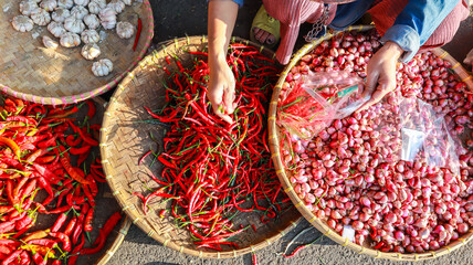 The hands of a buyer are sorting and choosing fresh chilies from rattan trays then put into plastic...