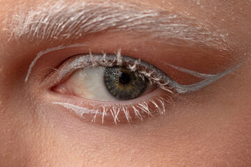 Close-up of a girl's eyes in silver makeup. Macro