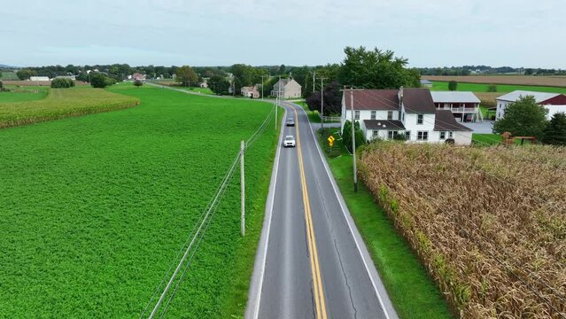 Road through rural American countryside in autumn. Homes and farms along country road. Corn field as traffic passes. Aerial.