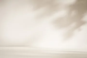 Fototapeten Konkrete Beige Flooring and Walls in Sunlit Room with Leaf Shadows as Background for Product Presentation  © Mr. Music