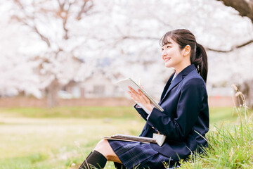 桜の中で座ってノートを開く中学生・高校生・女子高生・女子高校生
