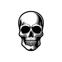 skull logo vector illustration template design
