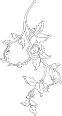 Vector sketch illustration of a rose arrangement design with hanging leaves