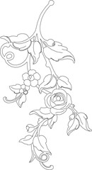 Vector sketch illustration of a rose arrangement design with hanging leaves