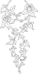 Vector sketch illustration of a rose arrangement design with hanging leaves