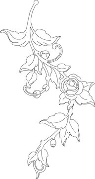 Vector sketch illustration of a rose arrangement design with hanging leaves