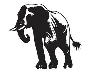 Elephant Vector Design Illustration Eps 