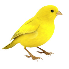 Cartoon Canary PNG Cutout, Generative AI