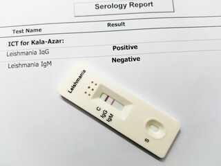 Rapid screening cassette for Leishmania test with positive report.