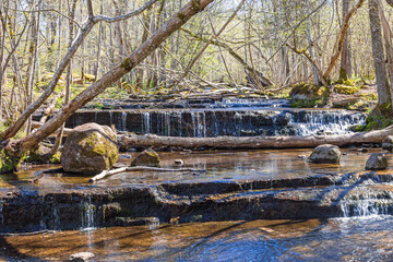 Small waterfalls in a budding deciduous forest a sunny spring day