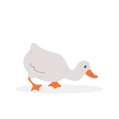 Cute goose. Hand drawn grey duck on farm. Domestic fowl. Vector illustration in flat cartoon style. Agriculture bird. Rural wildlife. Clipart for pattern, greeting card and childish design.