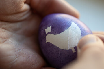 process of painting Easter eggs purple with blueberries. removing tape close up