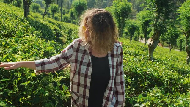 Female tourist walks through a tea plantation in Sri Lanka.
