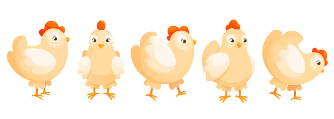 Cartoon domestic chicken in different poses, cute set.