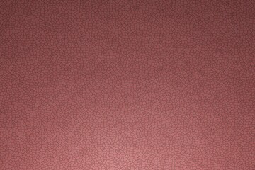 Leather texture, flat view. The name of the color is light coral