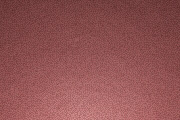 Leather texture, flat view. The name of the color is light coral
