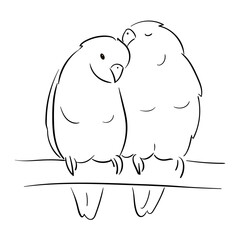 Line illustration of a pet parrot, illustration with stroke . The parrot is talking. A couple of parrots in love.