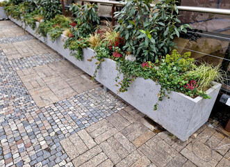 fiber stone on the street by the terrace. a combination of evergreen shrubs and flowers. azaleas,...