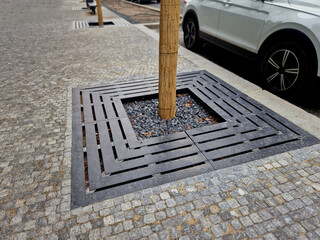 trees planted in a large paved area of the pedestrian zone pavement need to breathe roots and...