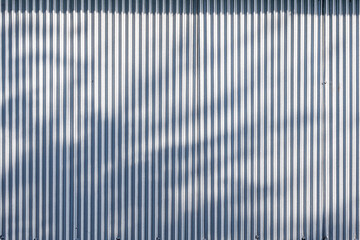 Corrugated zinc fence wall background with sunlight and leaves shadow on surface