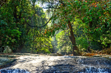 Beautiful village, This unique photo shows the wild jungle waterfall and the amazing nature of...