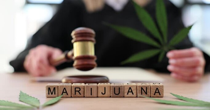 Judge holds green marijuana leaf in courtroom
