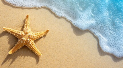 Fototapeta na wymiar Tropical beach serenity, starfish in sand, holiday concept with space for text