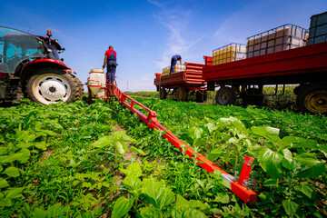 Tractor with sprayer came for reload, water, herbicide and pesticide