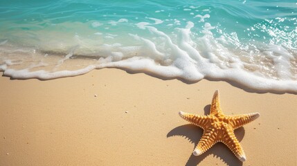 Fototapeta na wymiar Vacation mood, tropical beach with starfish, summer concept