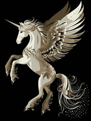 Pegasus Wings Illustration on Black