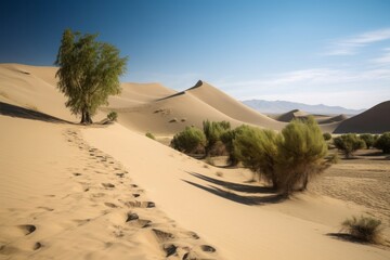 Fototapeta na wymiar Landscape silk road desert habitat. Panorama hills dry journey trade network. Generate ai