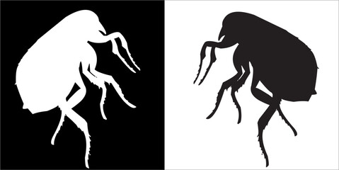 Illustration vector graphics of insect icon