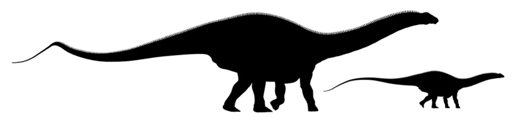 Crédence de cuisine en verre imprimé Dinosaures Silhouette mit dem Dinosaurier Apatosaurus