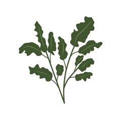 Naklejka premium set of autumn leaves