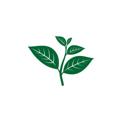 green leaf vector element nature
