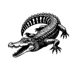 crocodile hand drawn vector illustration graphic - obrazy, fototapety, plakaty