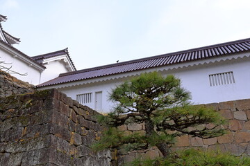 Fototapeta na wymiar Tsuruga Castle (Wakamatsu castle) a concrete replica of 14th-century castle at Otemachi, Aizuwakamatsu, Fukushima, Japan 