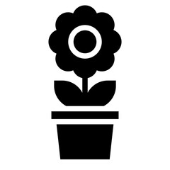 flower in pot